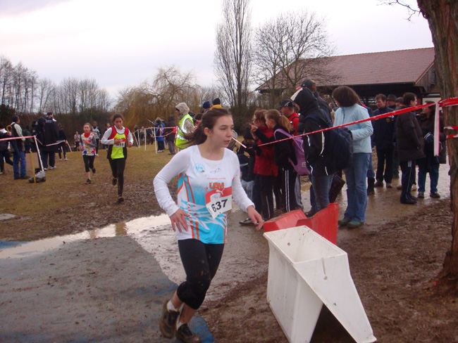 Championnats