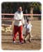 cross_pere_noel_2011