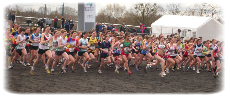 france-cross
