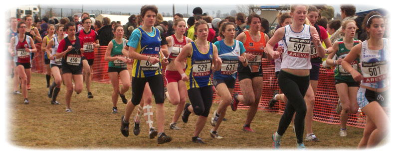 france-cross