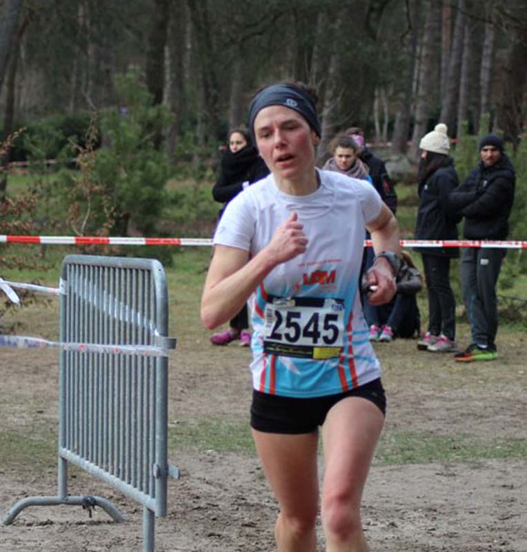 cross_idf_2015