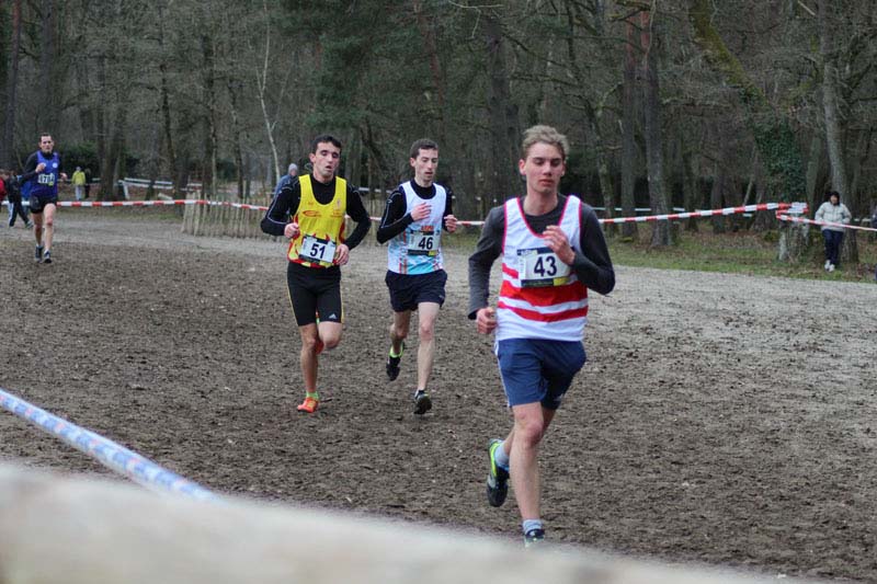 cross_idf_2015