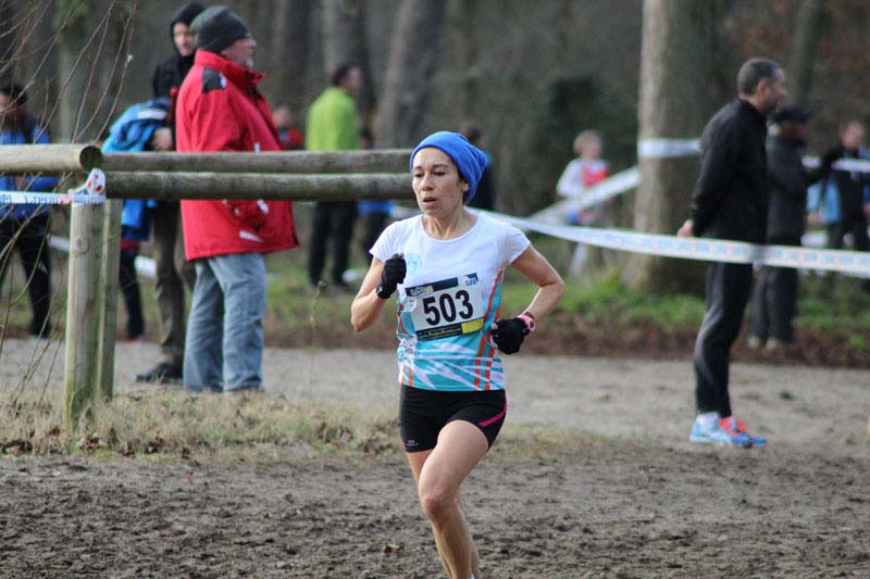 cross_idf_2015