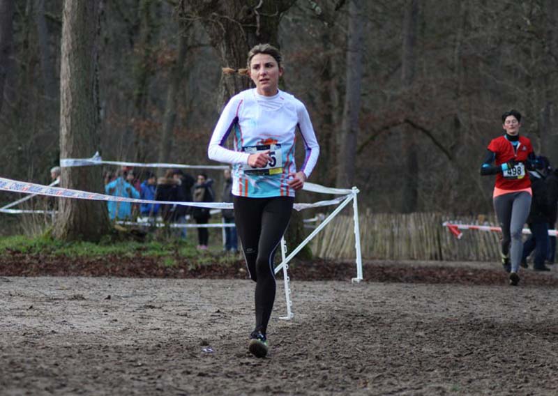 cross_idf_2015