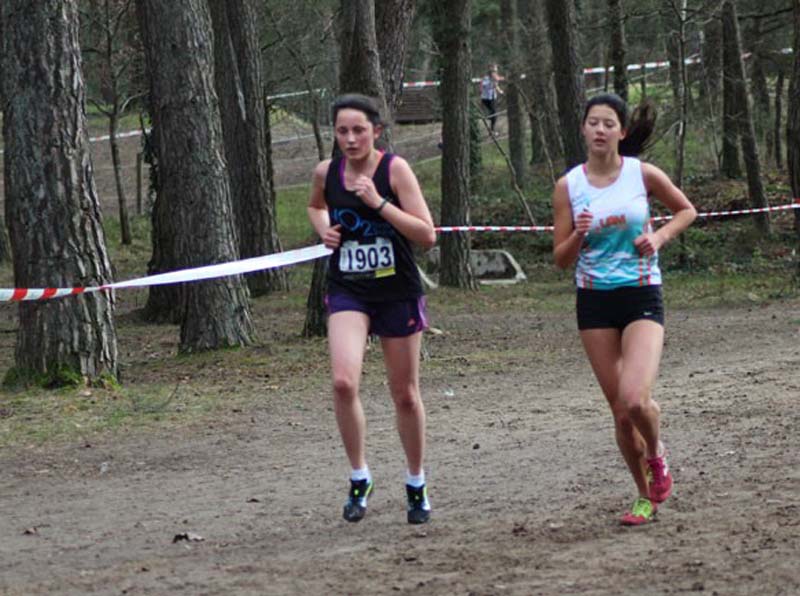 cross_idf_2015