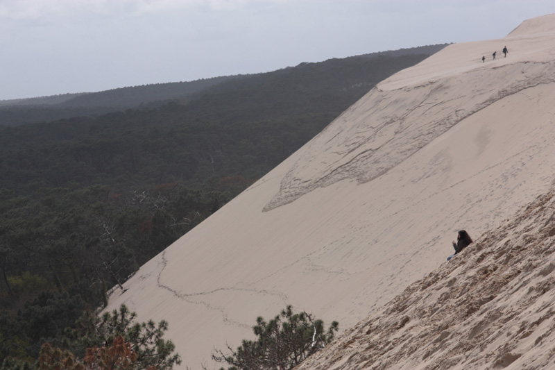 Dune_du-Pyla