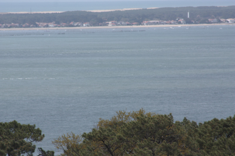 Dune_du-Pyla