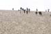 Dune_du-Pyla