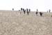 Dune_du-Pyla