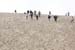 Dune_du-Pyla