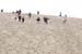Dune_du-Pyla