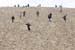 Dune_du-Pyla