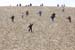 Dune_du-Pyla