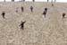 Dune_du-Pyla