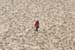 Dune_du-Pyla